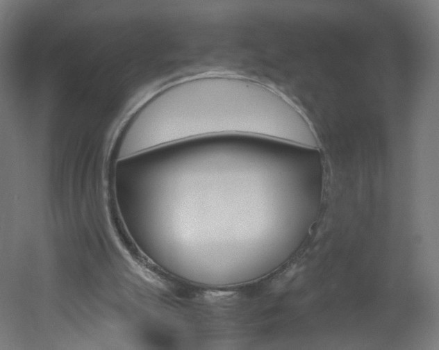 X0000051910055200506241114