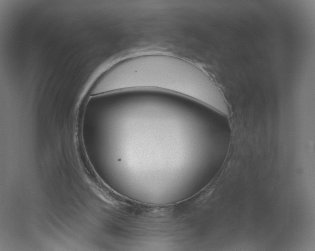 X0000051910056200506241114