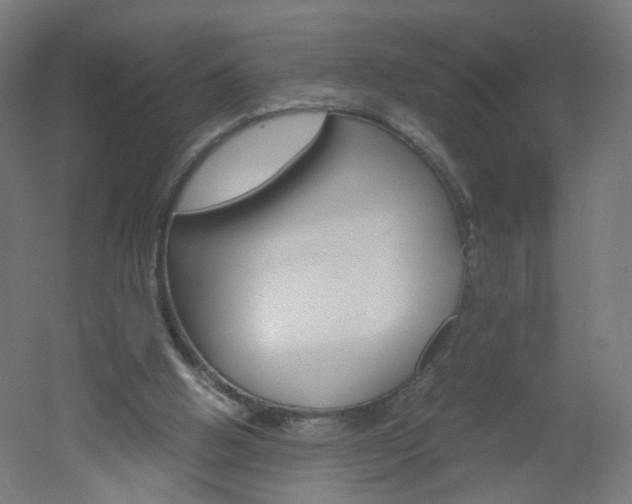 X0000051910058200506241114