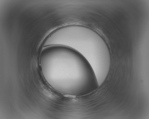 X0000051910060200506241114