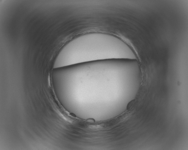 X0000051910061200506241114