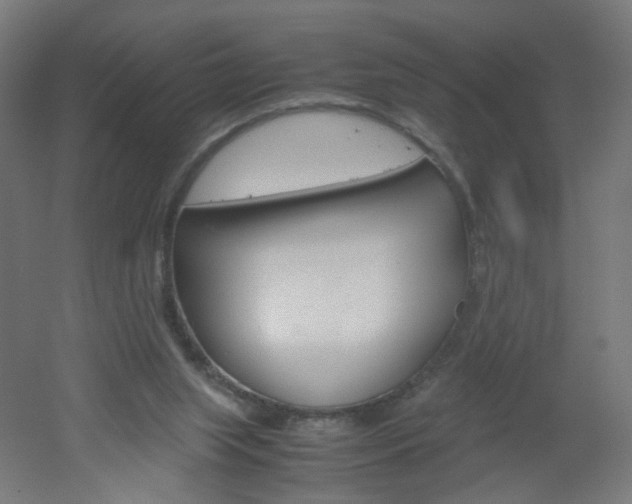X0000051910063200506241114