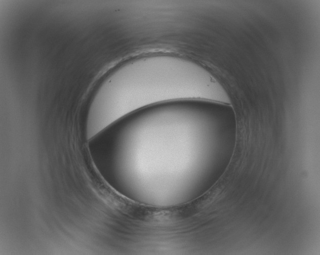 X0000051910064200506241114
