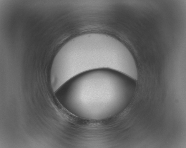 X0000051910066200506241114