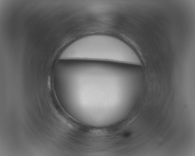 X0000051910067200506241114