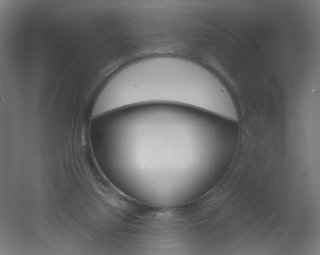 X0000051910068200506241114