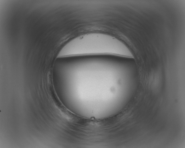 X0000051910071200506241114