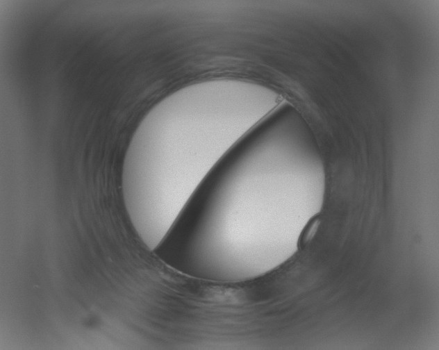 X0000051910073200506241114