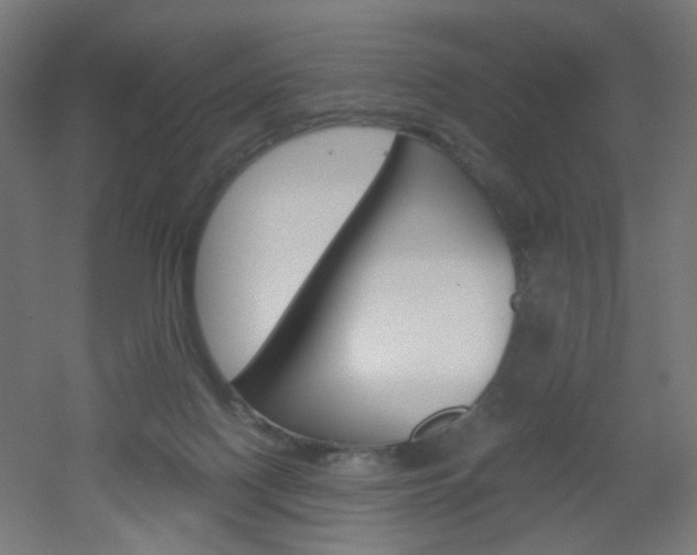 X0000051910074200506241114