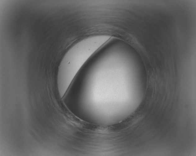 X0000051910076200506241114