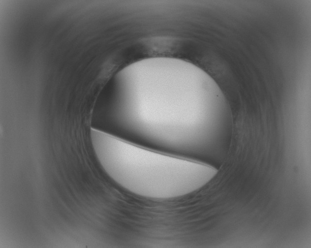 X0000051910079200506241114