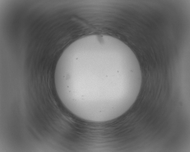 X0000051910080200506241114