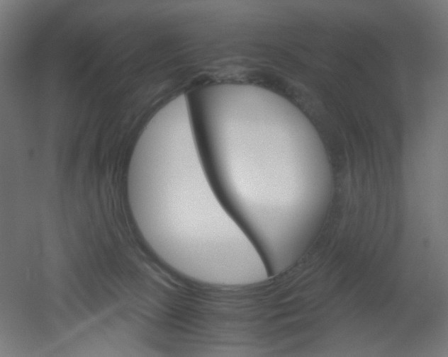 X0000051910081200506241114