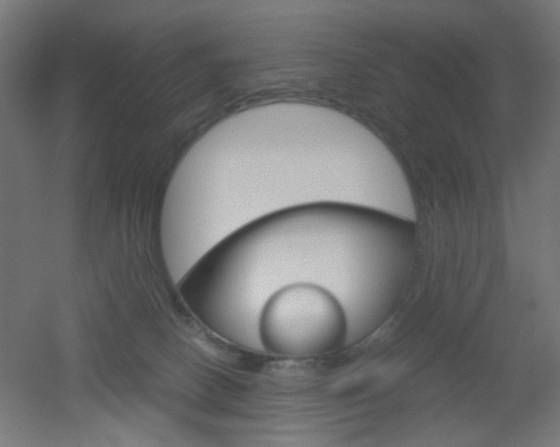 X0000051910082200506241114