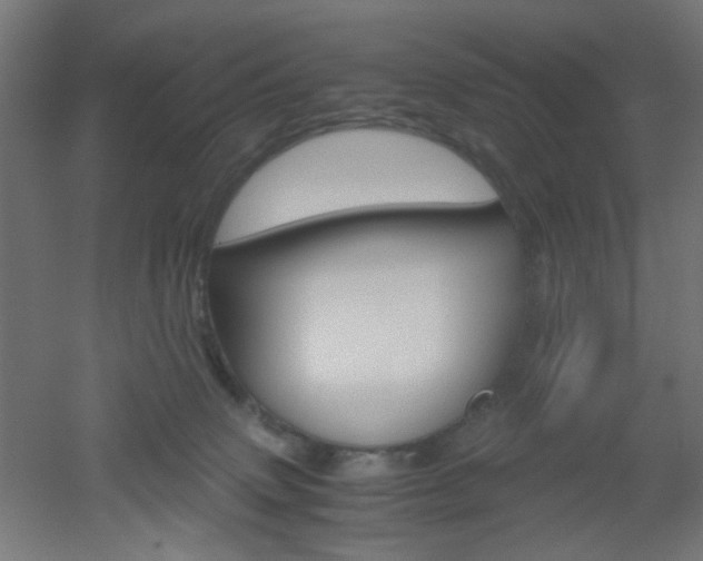 X0000051910083200506241114