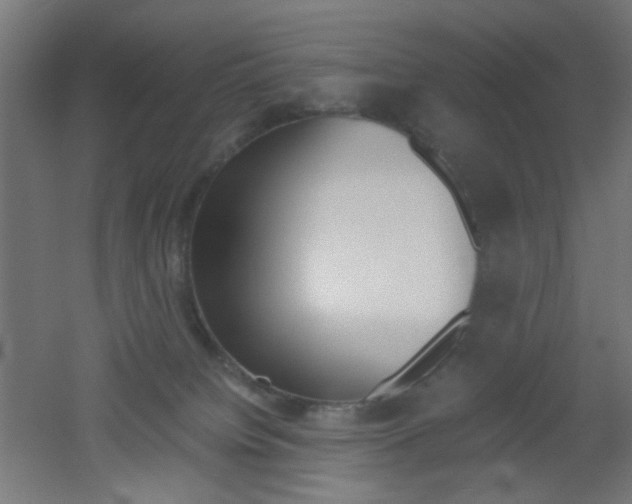X0000051910084200506241114