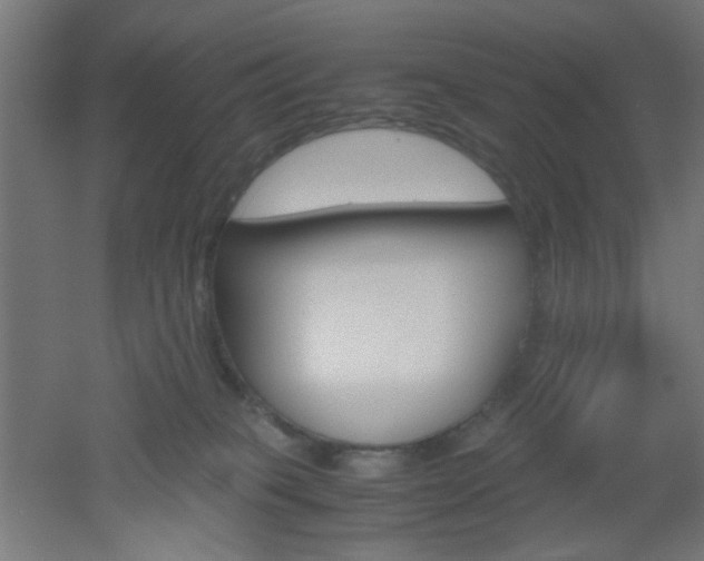 X0000051910085200506241114