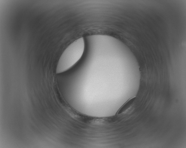 X0000051910086200506241114