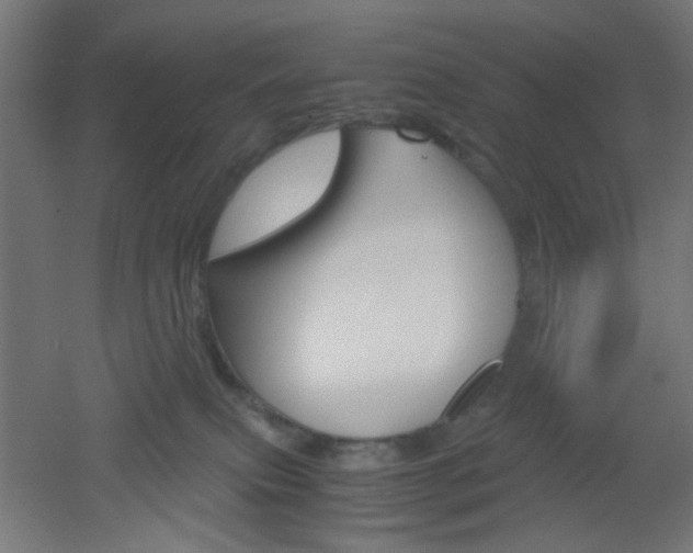 X0000051910087200506241114