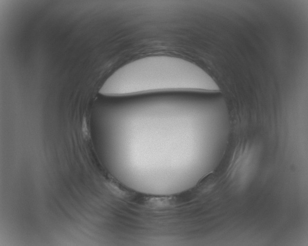 X0000051910089200506241114