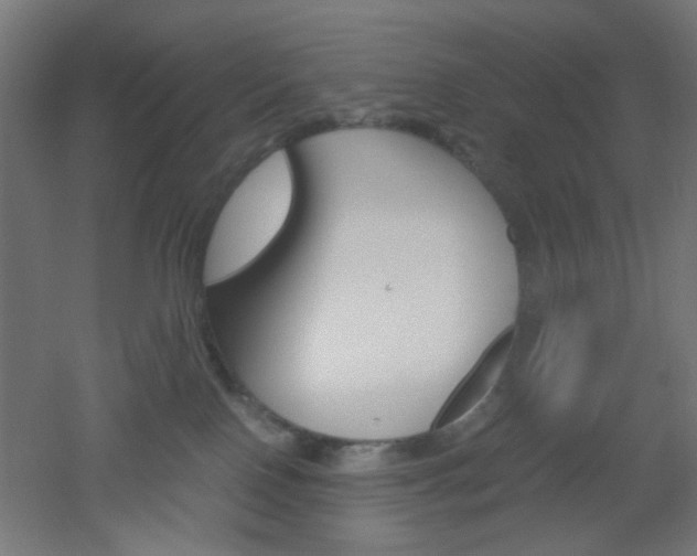 X0000051910090200506241114
