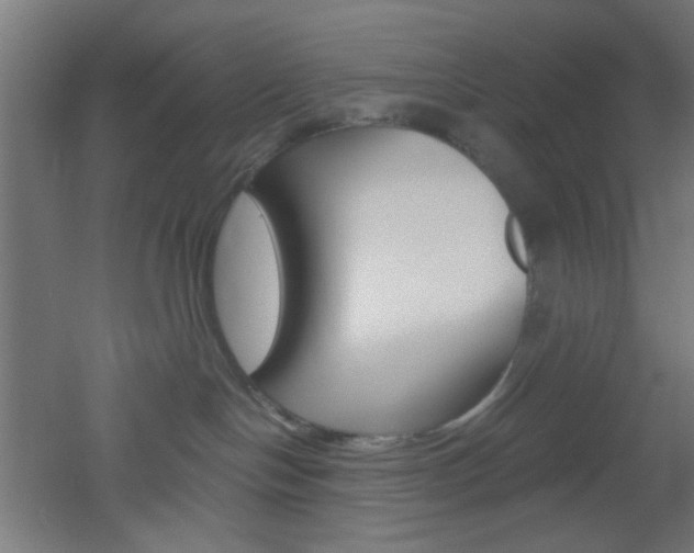 X0000051910094200506241114