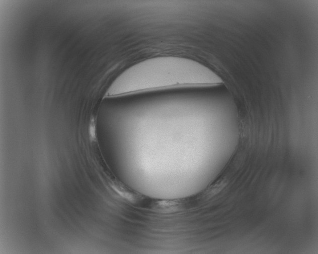 X0000051910095200506241114