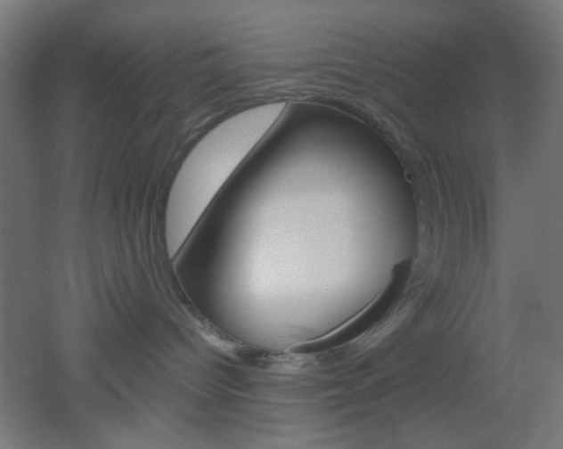 X0000051910096200506241114