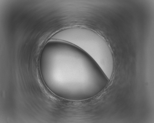 X0000051910097200506241114
