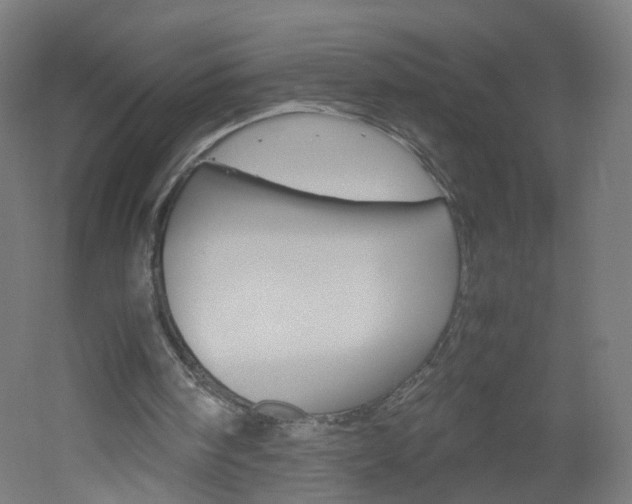 X0000051910098200506241114