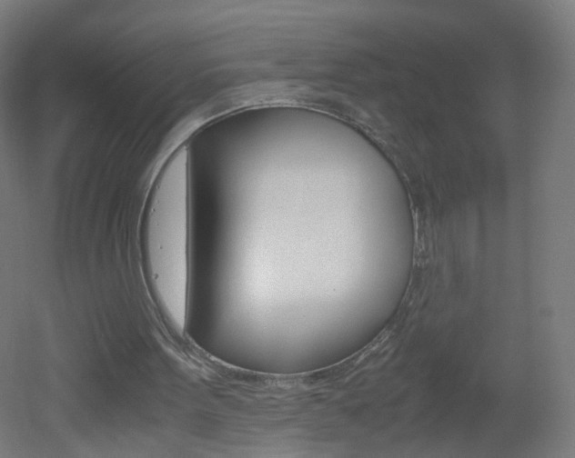 X0000051910099200506241113