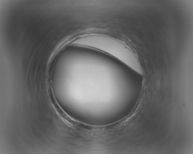 X0000051910101200506241113