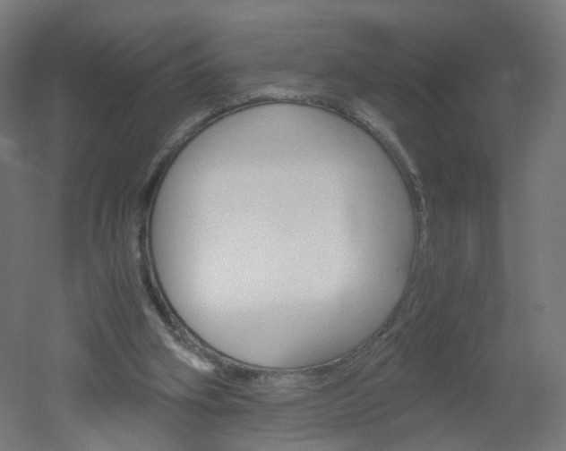 X0000051910106200506241113