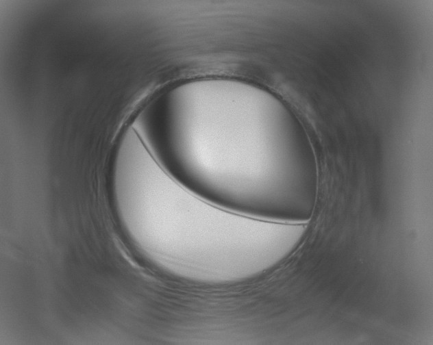X0000051910107200506241113