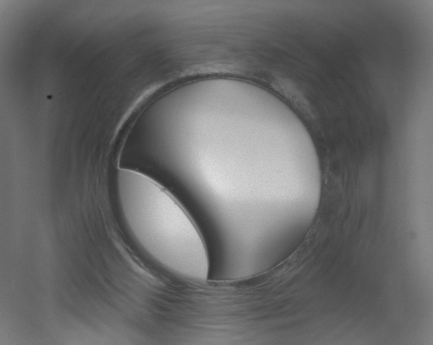 X0000051910108200506241113