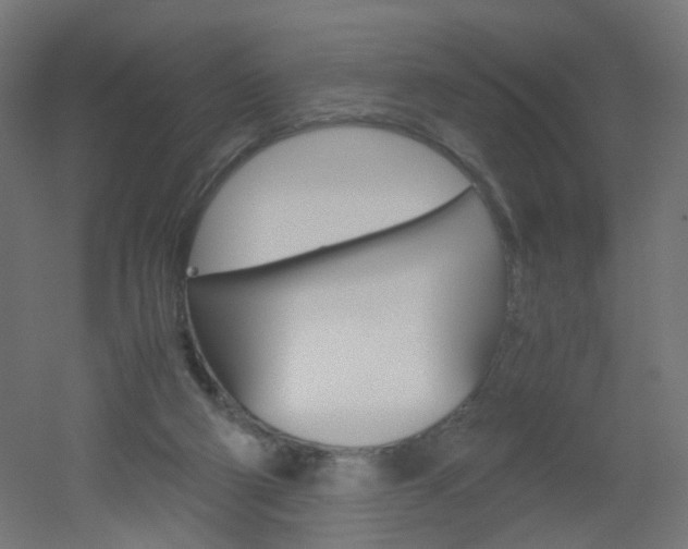 X0000051910114200506241113