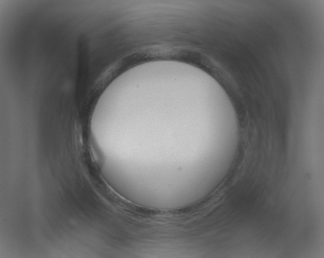 X0000051910115200506241113