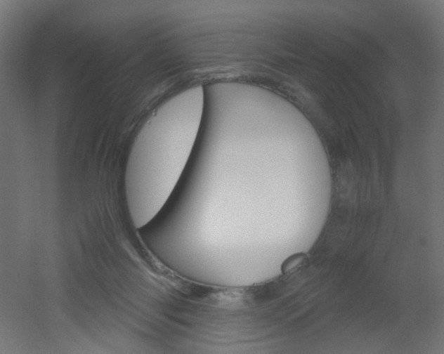 X0000051910118200506241113