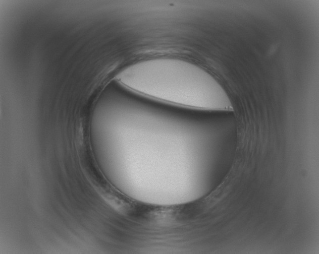 X0000051910120200506241113
