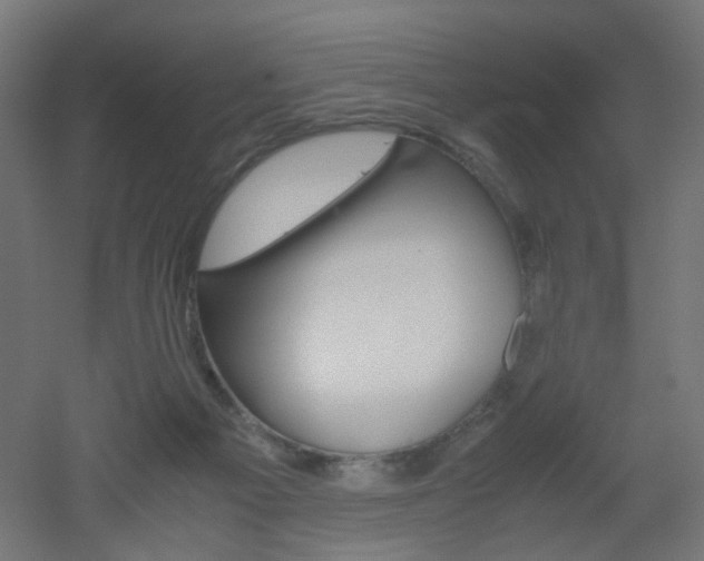 X0000051910121200506241113