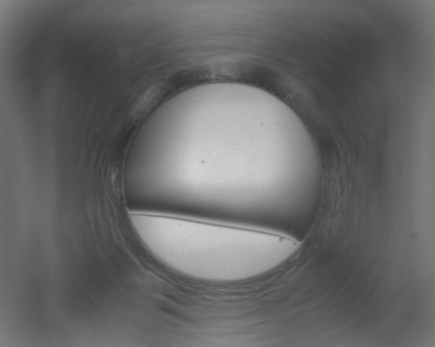 X0000051910123200506241113