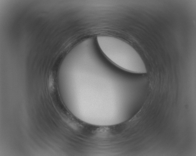 X0000051910124200506241113
