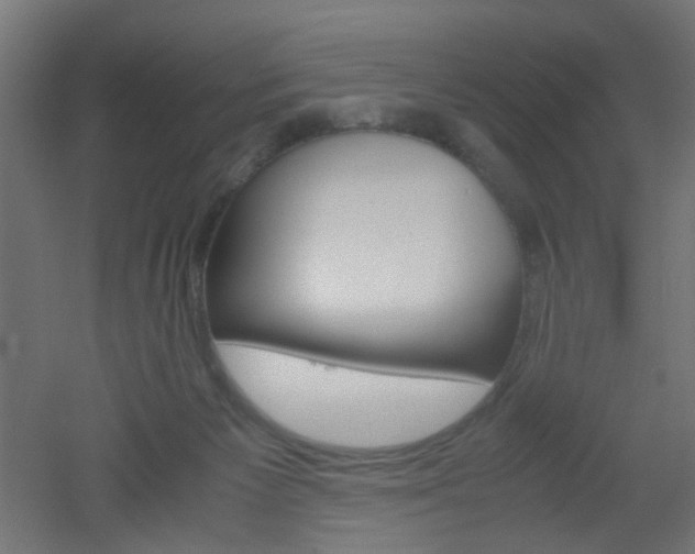 X0000051910125200506241113
