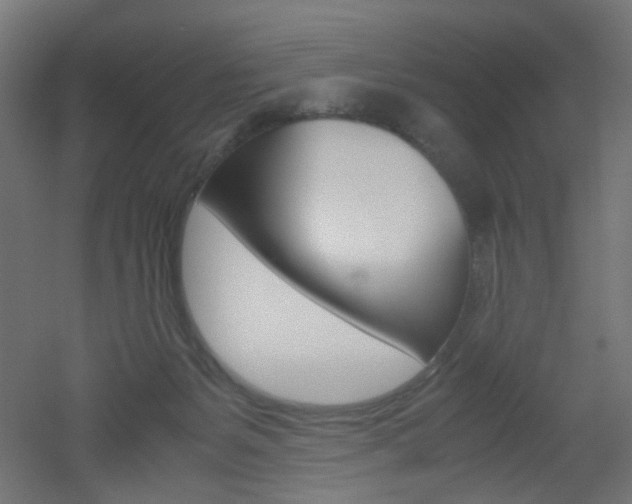 X0000051910127200506241113