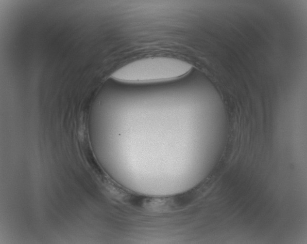 X0000051910129200506241113