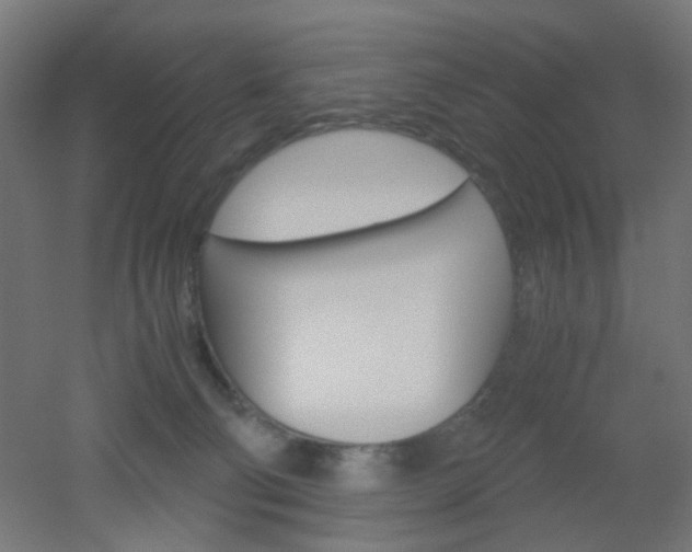 X0000051910130200506241113