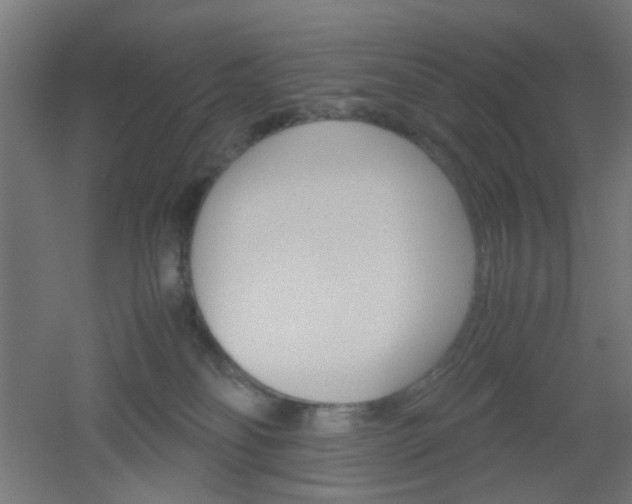 X0000051910134200506241113
