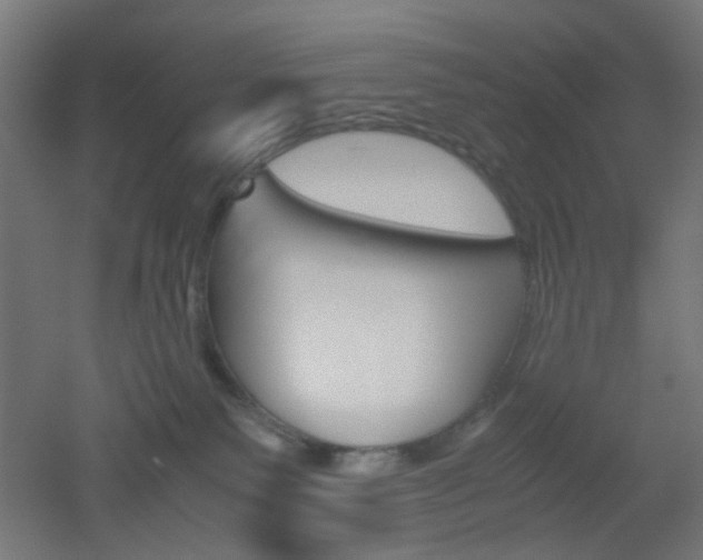 X0000051910135200506241113