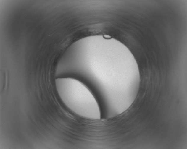 X0000051910136200506241113