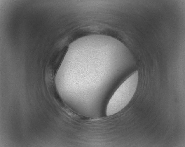 X0000051910137200506241113